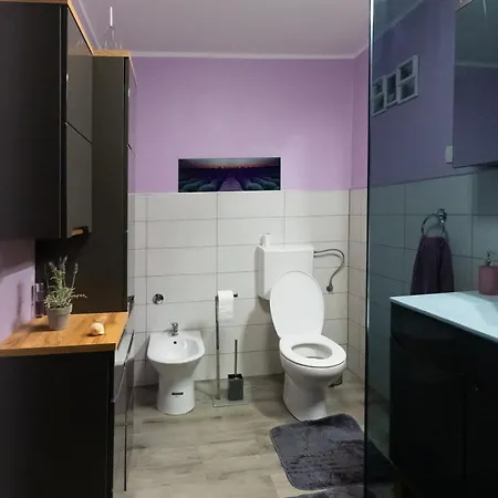 Apartment Roman Liznjan